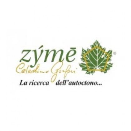 logo_zyme